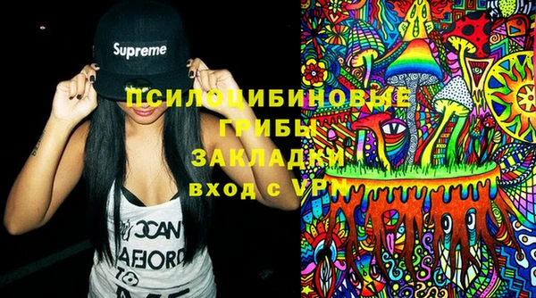 spice Верхний Тагил