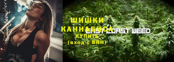 spice Верхний Тагил