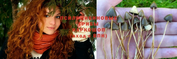 ешки Верея