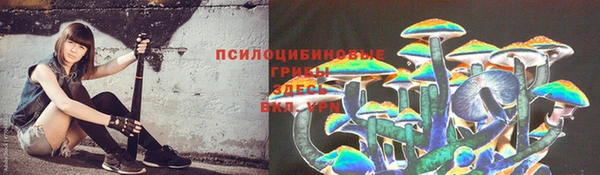 ешки Верея