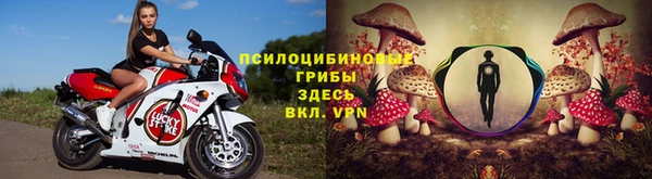 ешки Верея