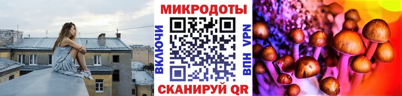 блэк спрут ONION  Катав-Ивановск  Псилоцибиновые грибы Psilocybe 